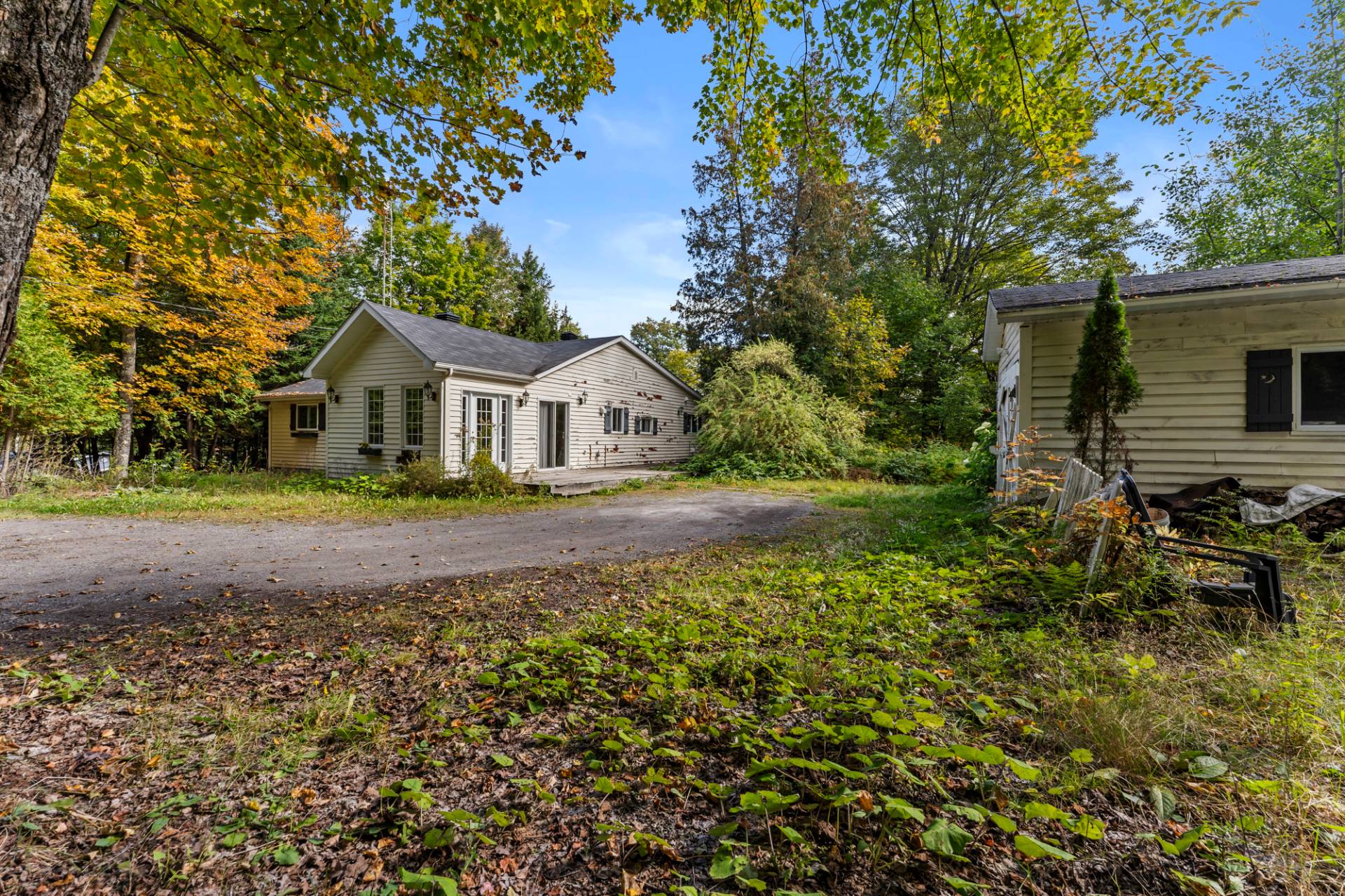 MLS: 24006239