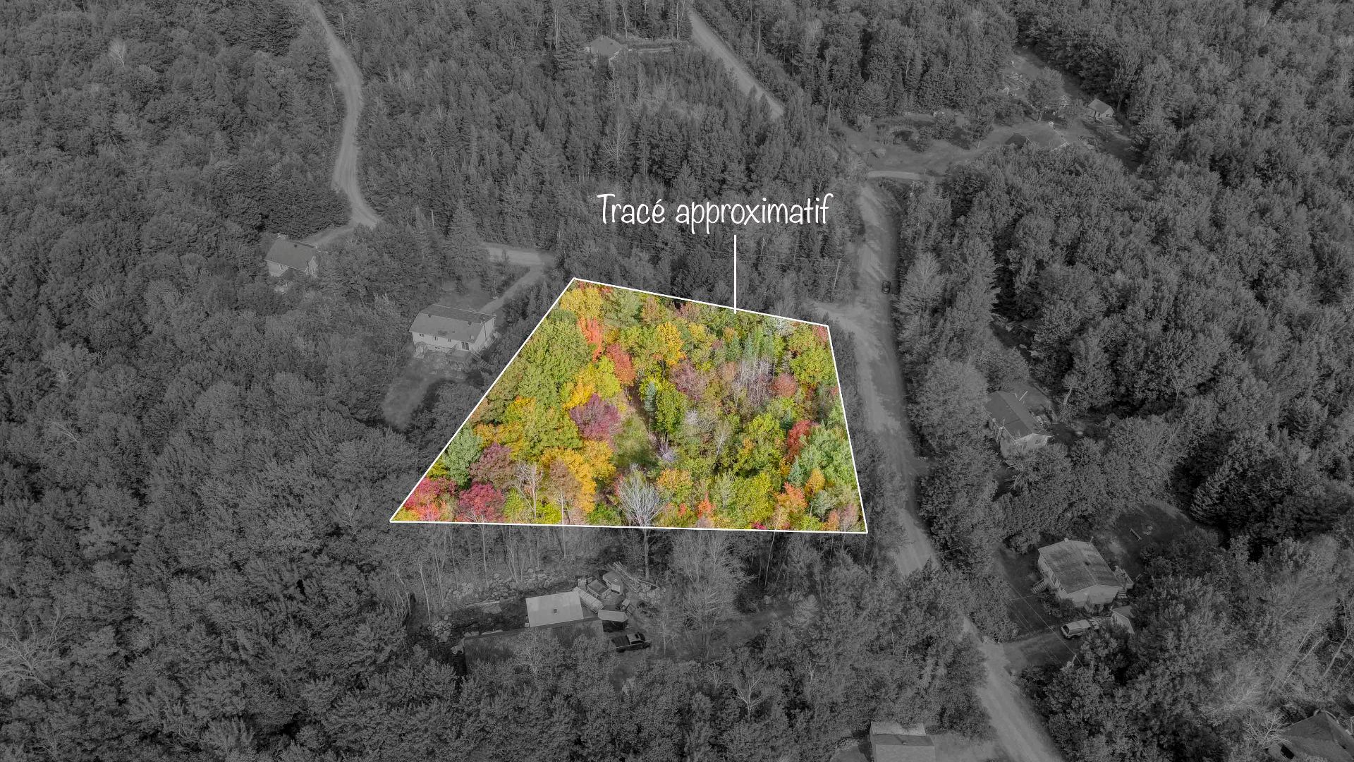 MLS: 14548635