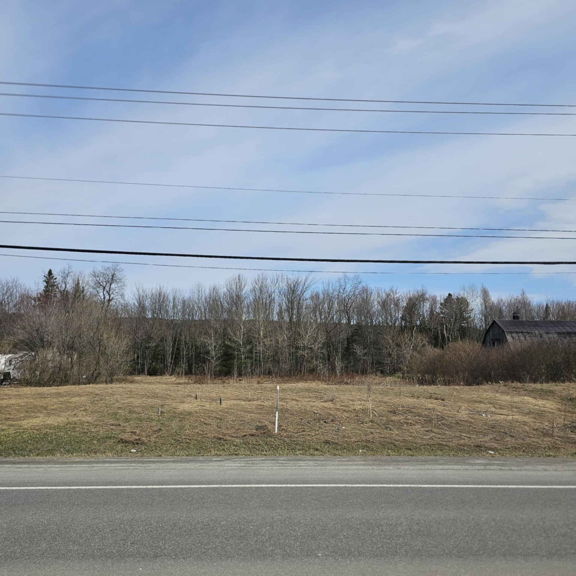 MLS: 19497615