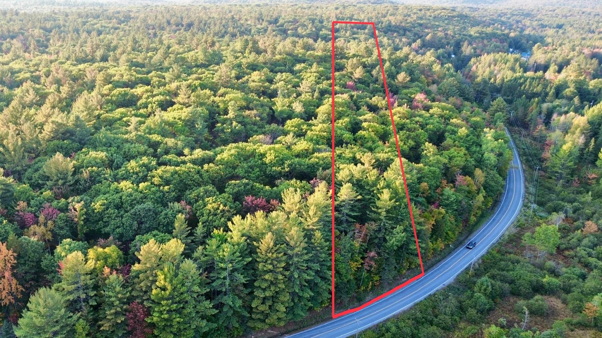 MLS: 28156434