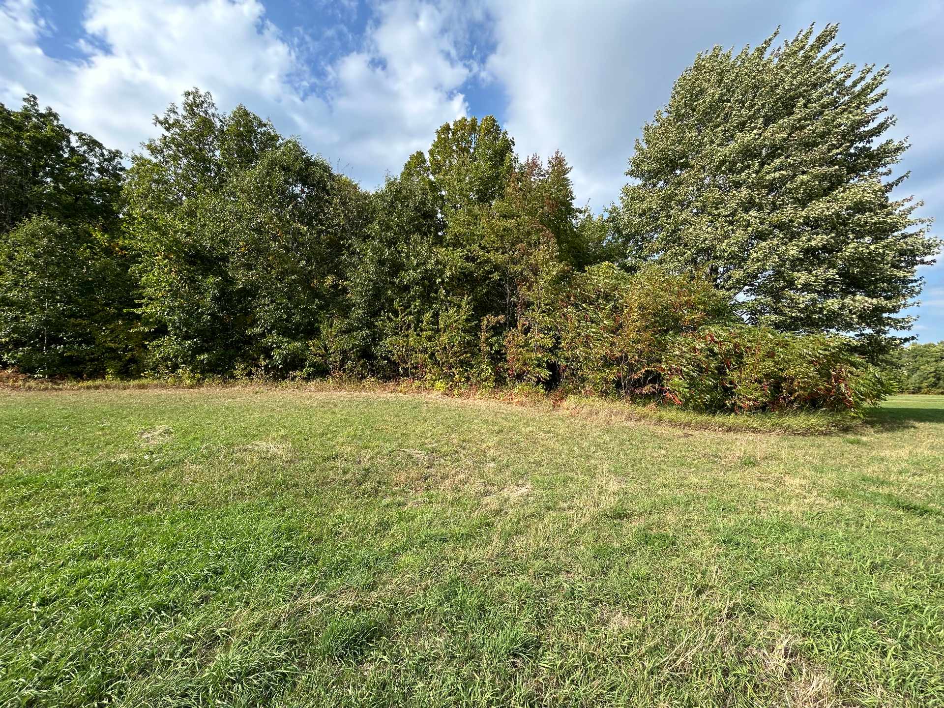 MLS: 25719866