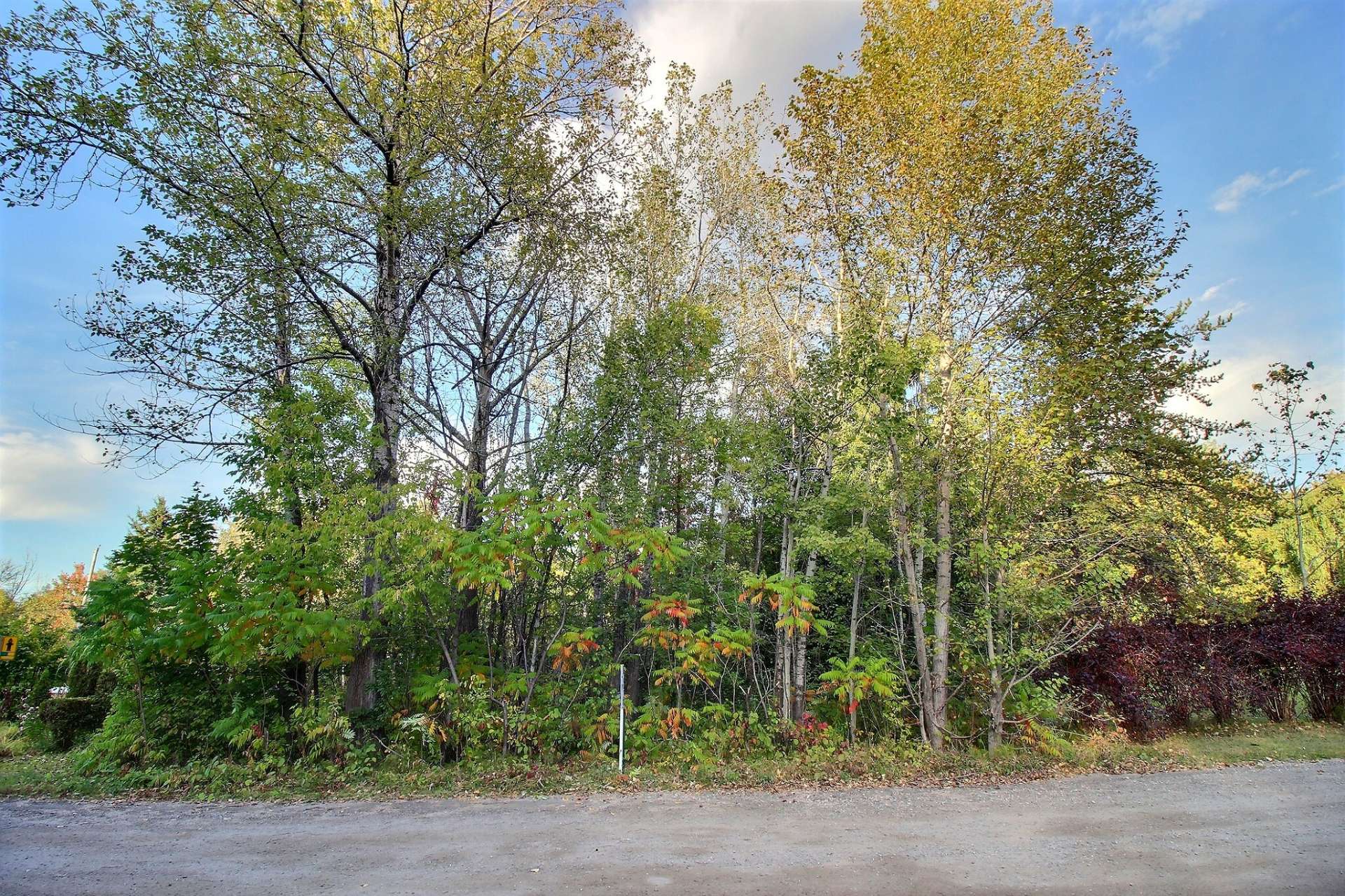 MLS: 25337576