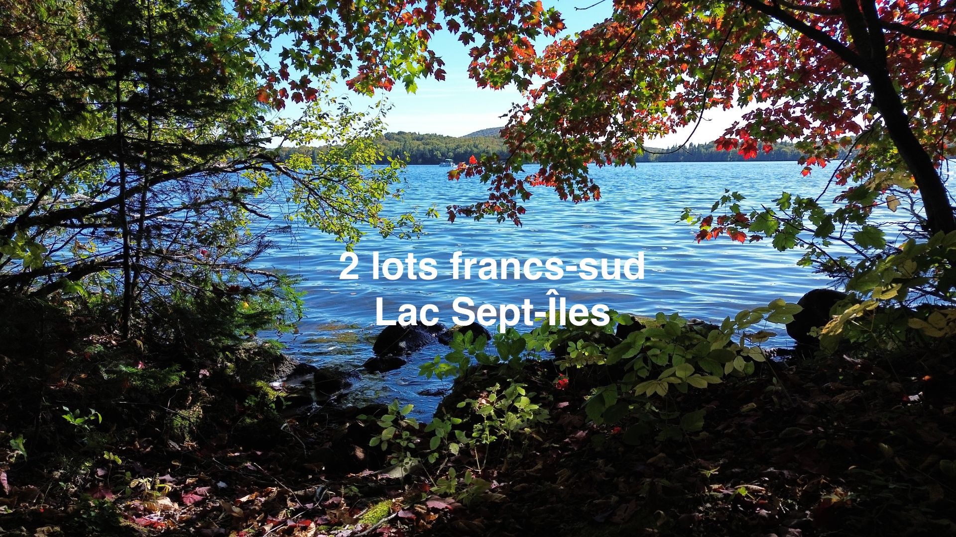 MLS: 15714651