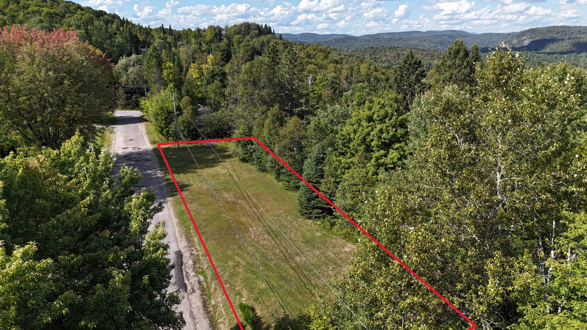 MLS: 16187064