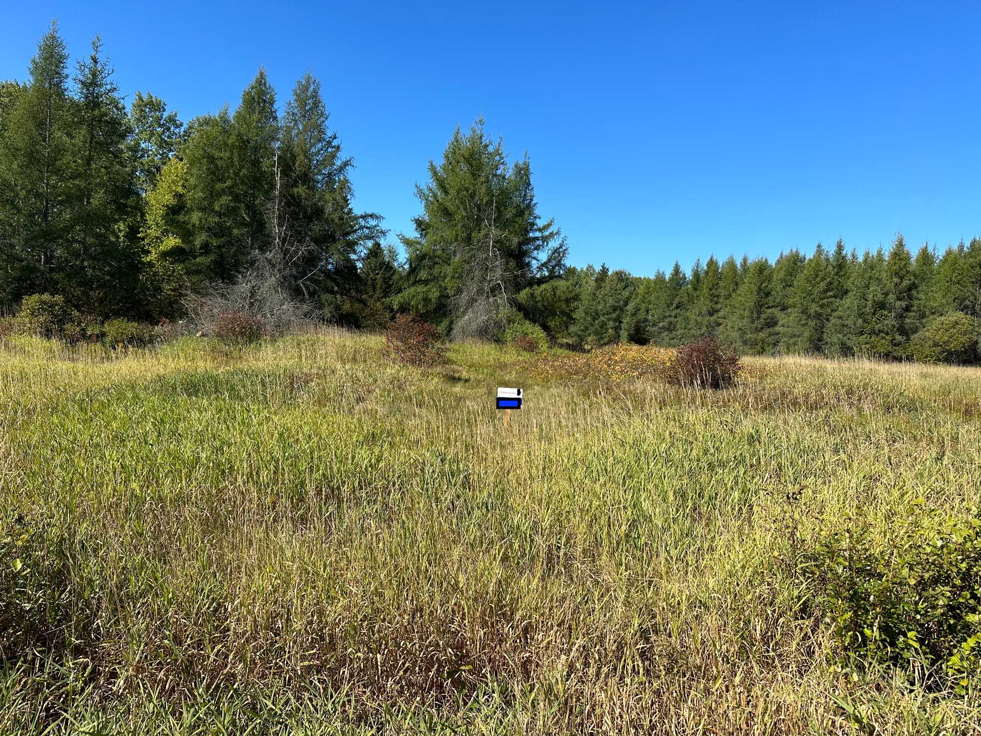 MLS: 12944702