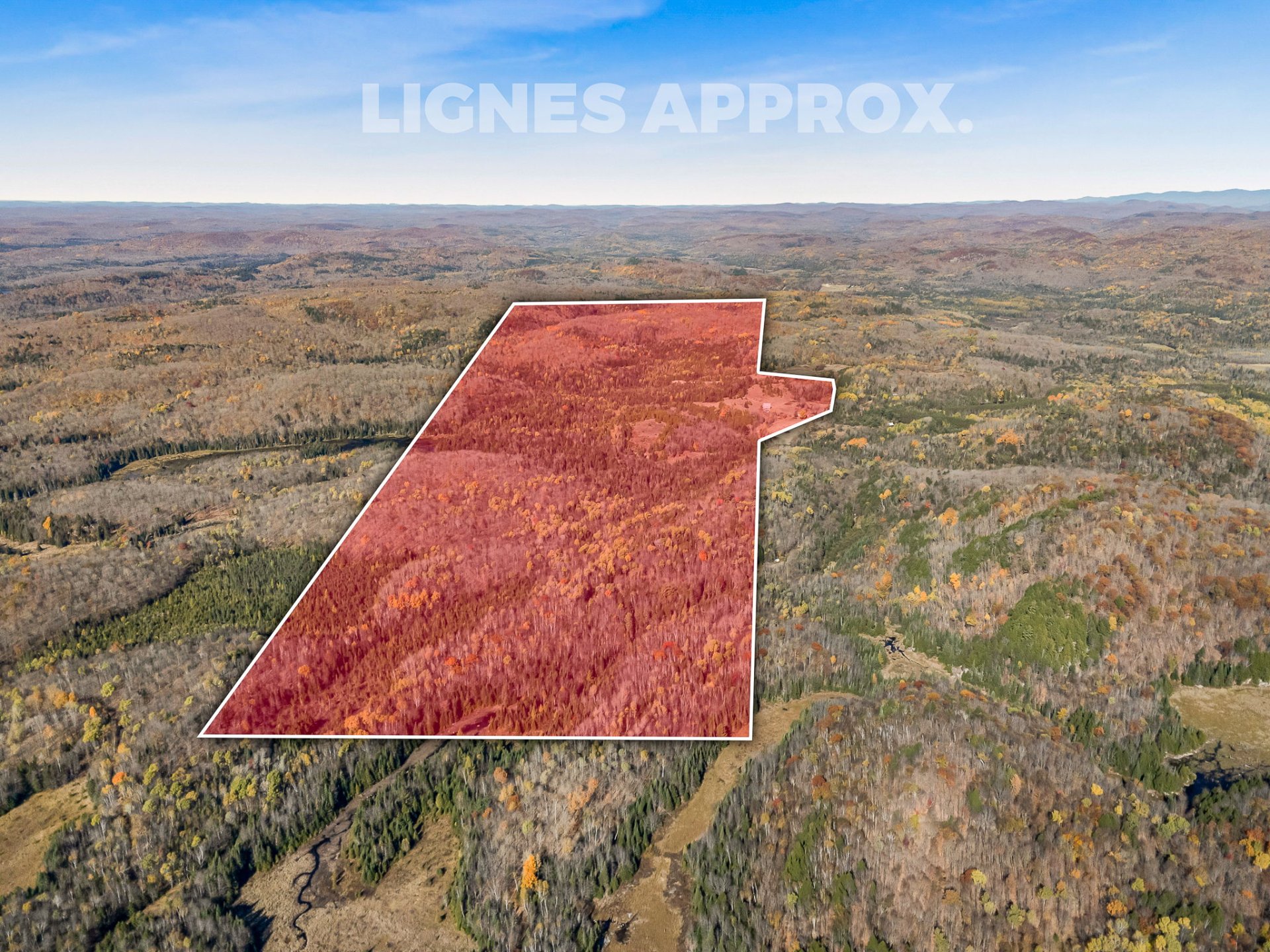 MLS: 12976474