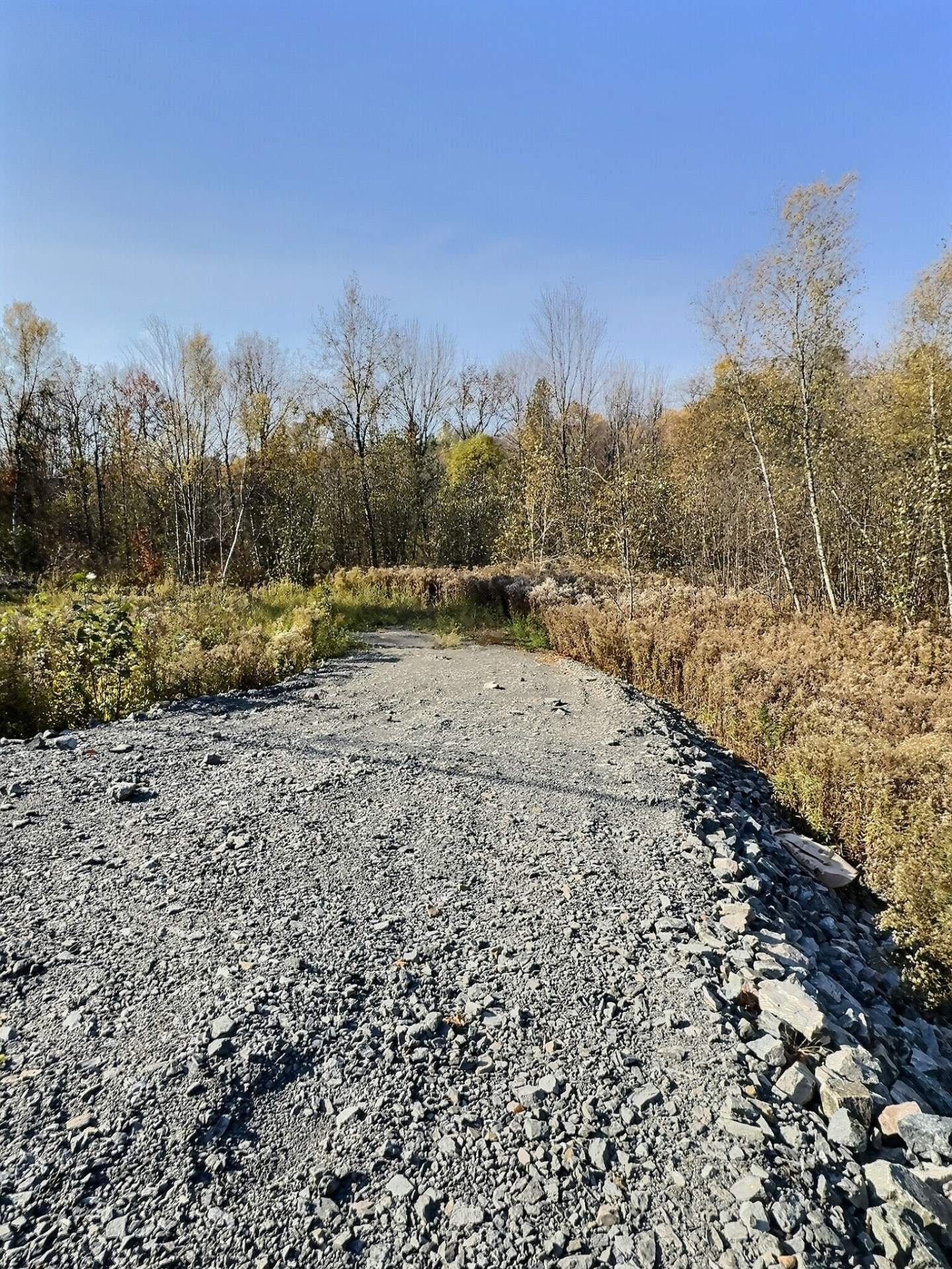 MLS: 17215514
