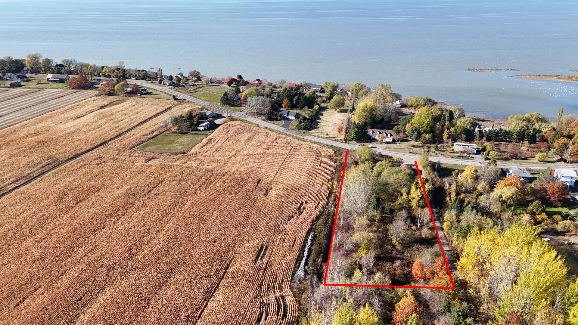 MLS: 15717865