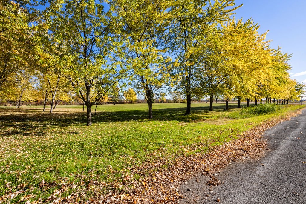 MLS: 23284745