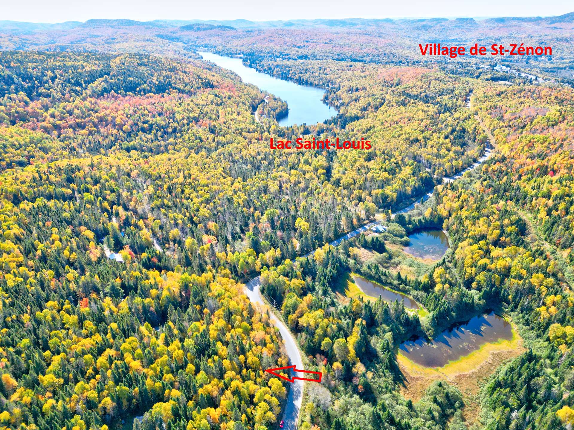 MLS: 11808322
