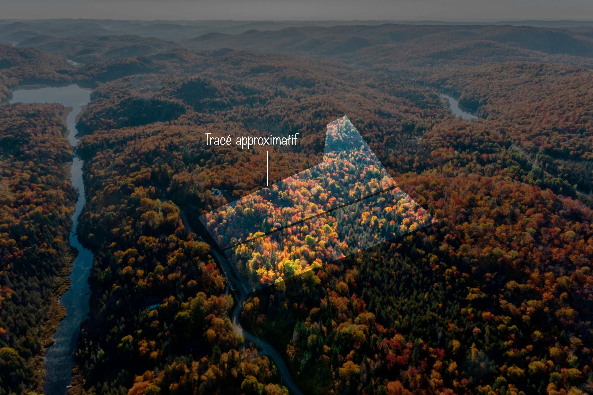 MLS: 14664694