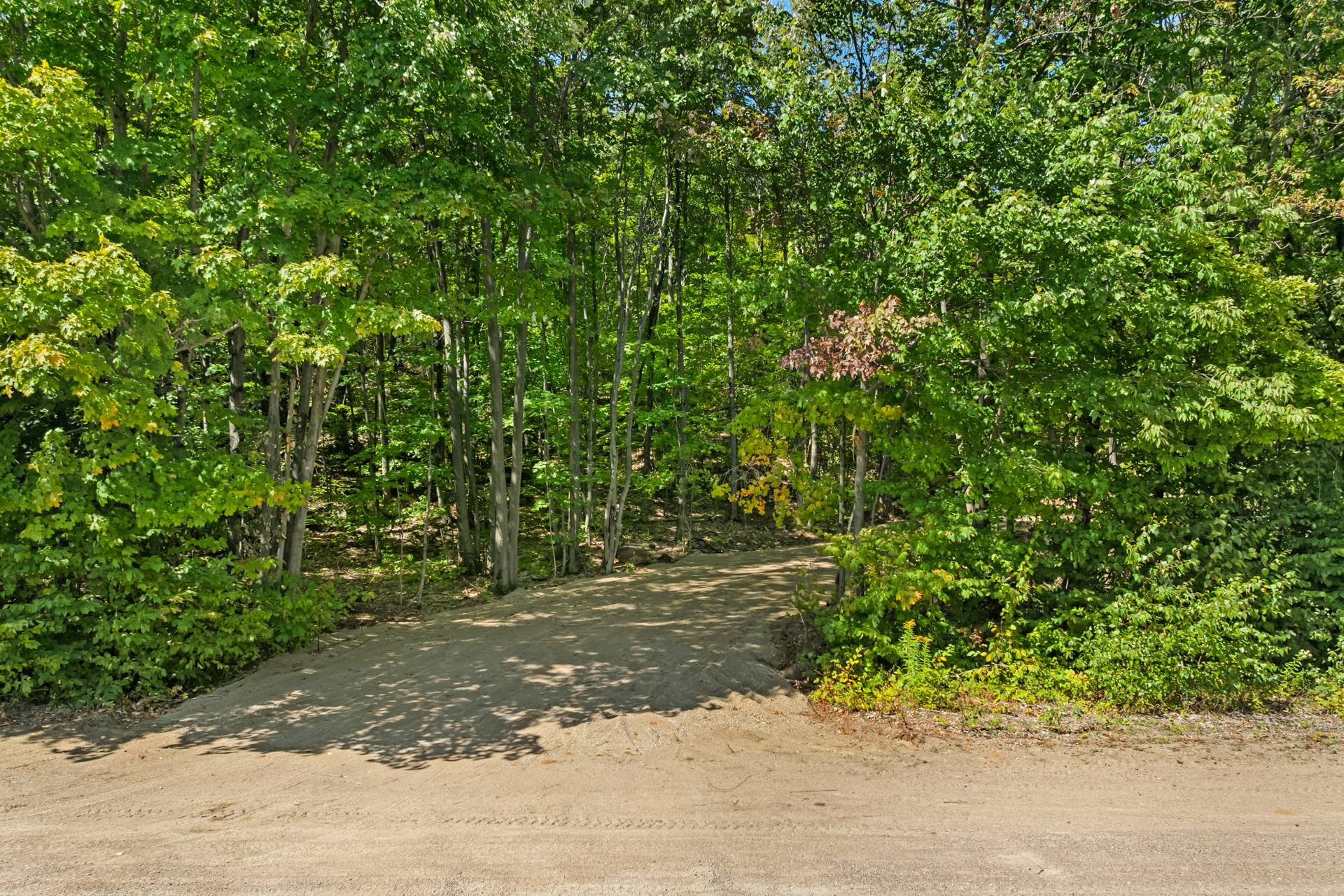 MLS: 14703245