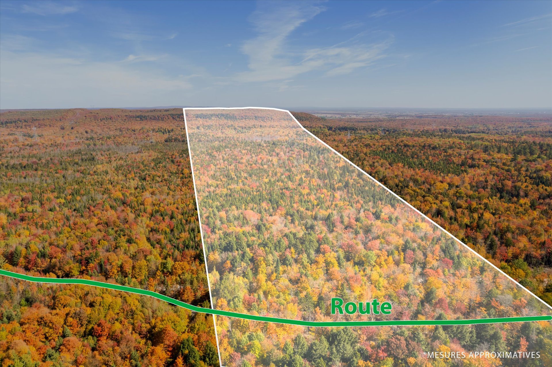 MLS: 19312531