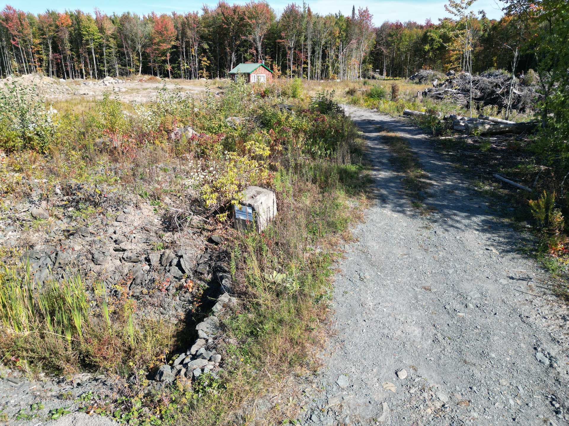 MLS: 15686698