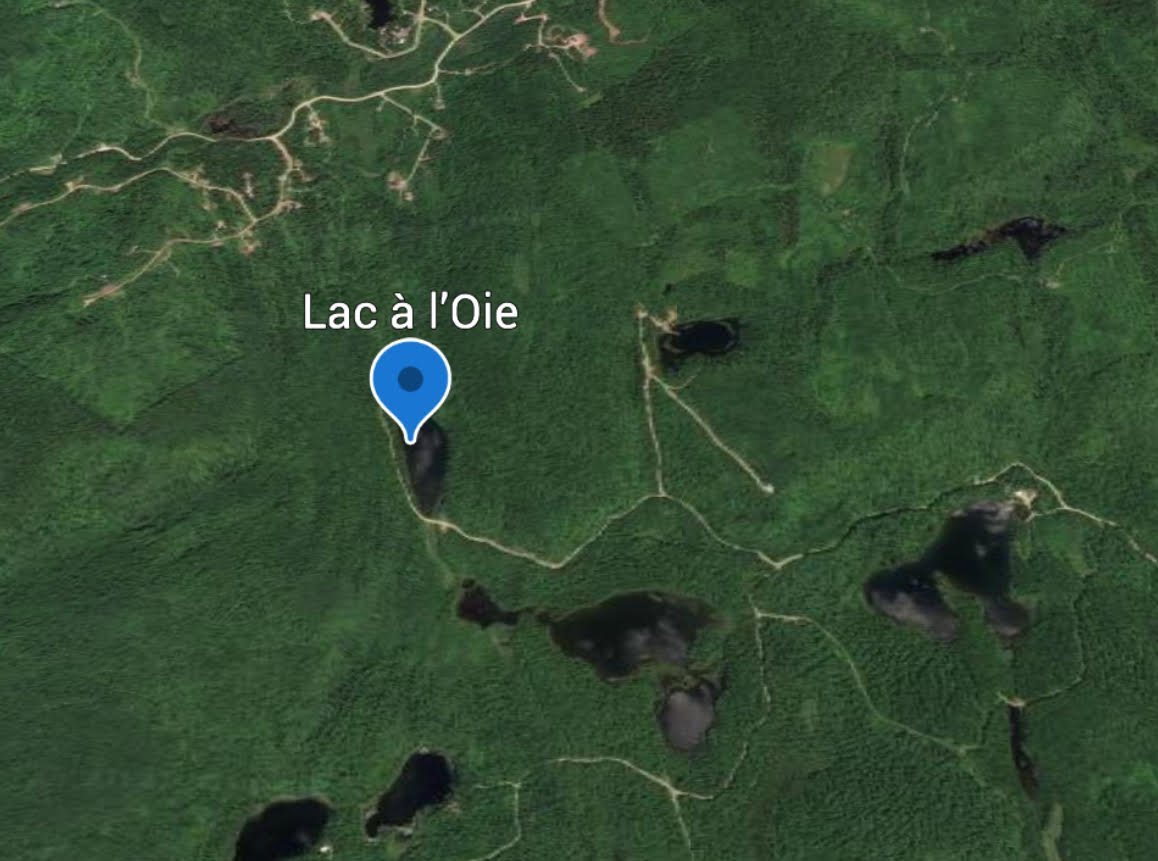 MLS: 24348465
