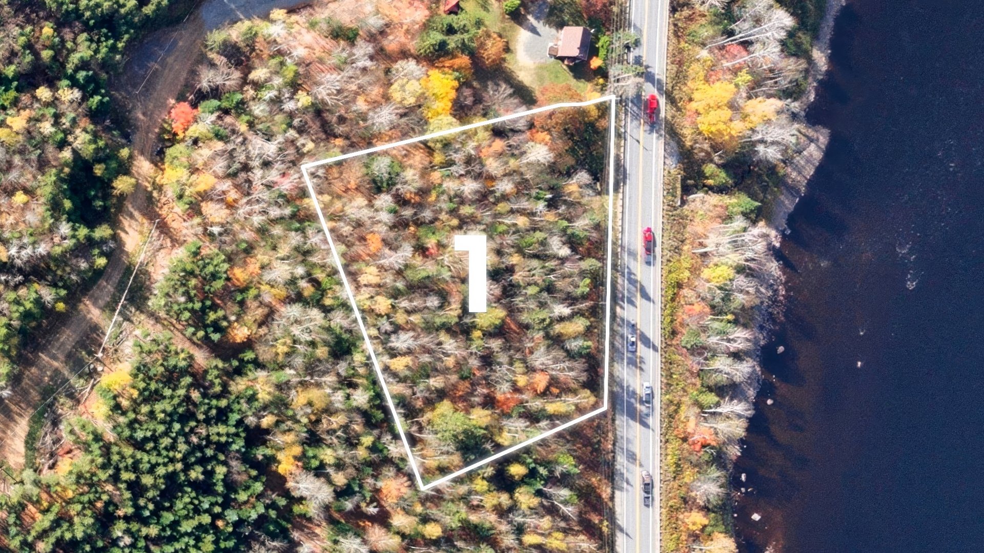 MLS: 11415562