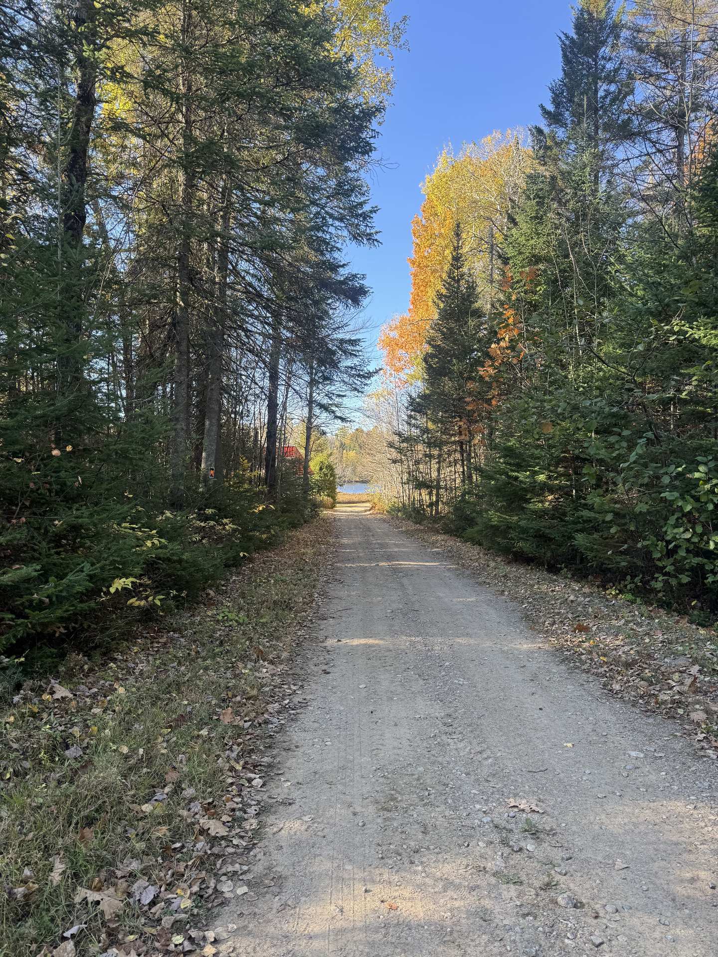 MLS: 15309730