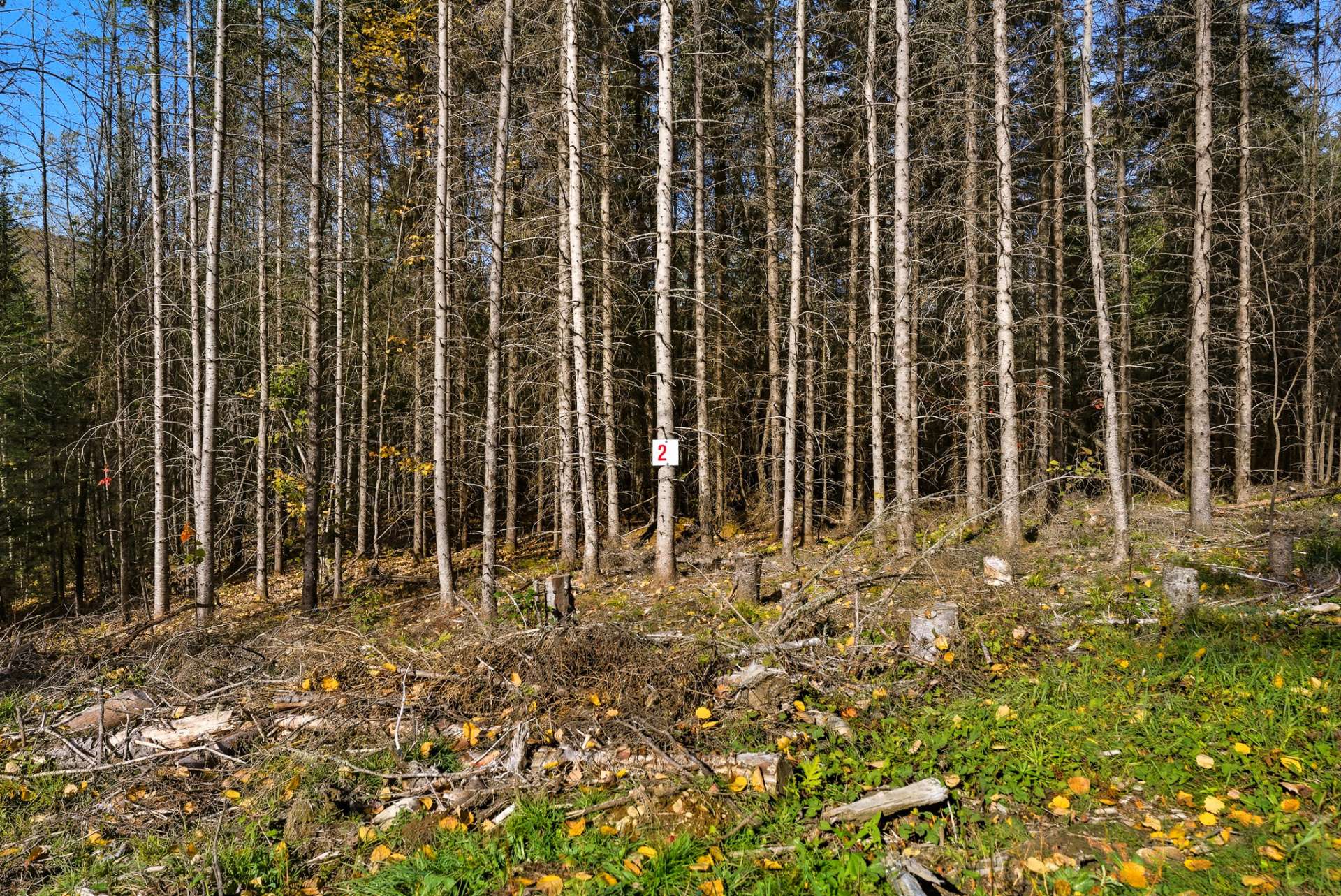 MLS: 23596366