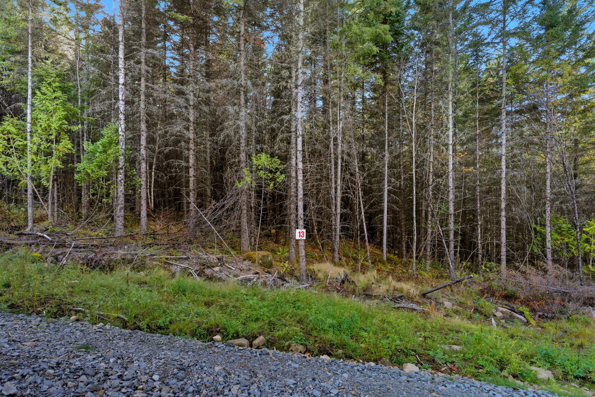 MLS: 12637117