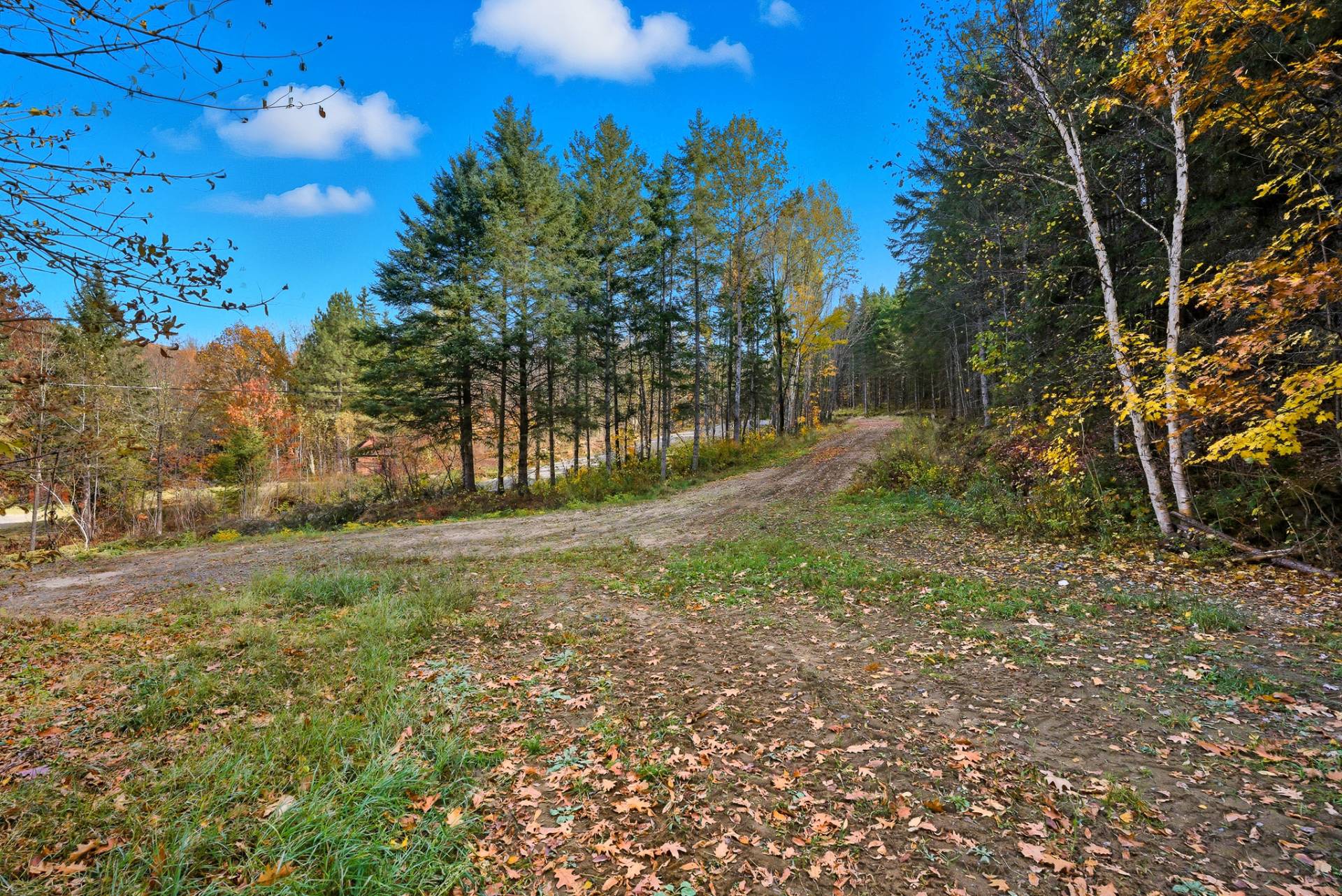 MLS: 17267522