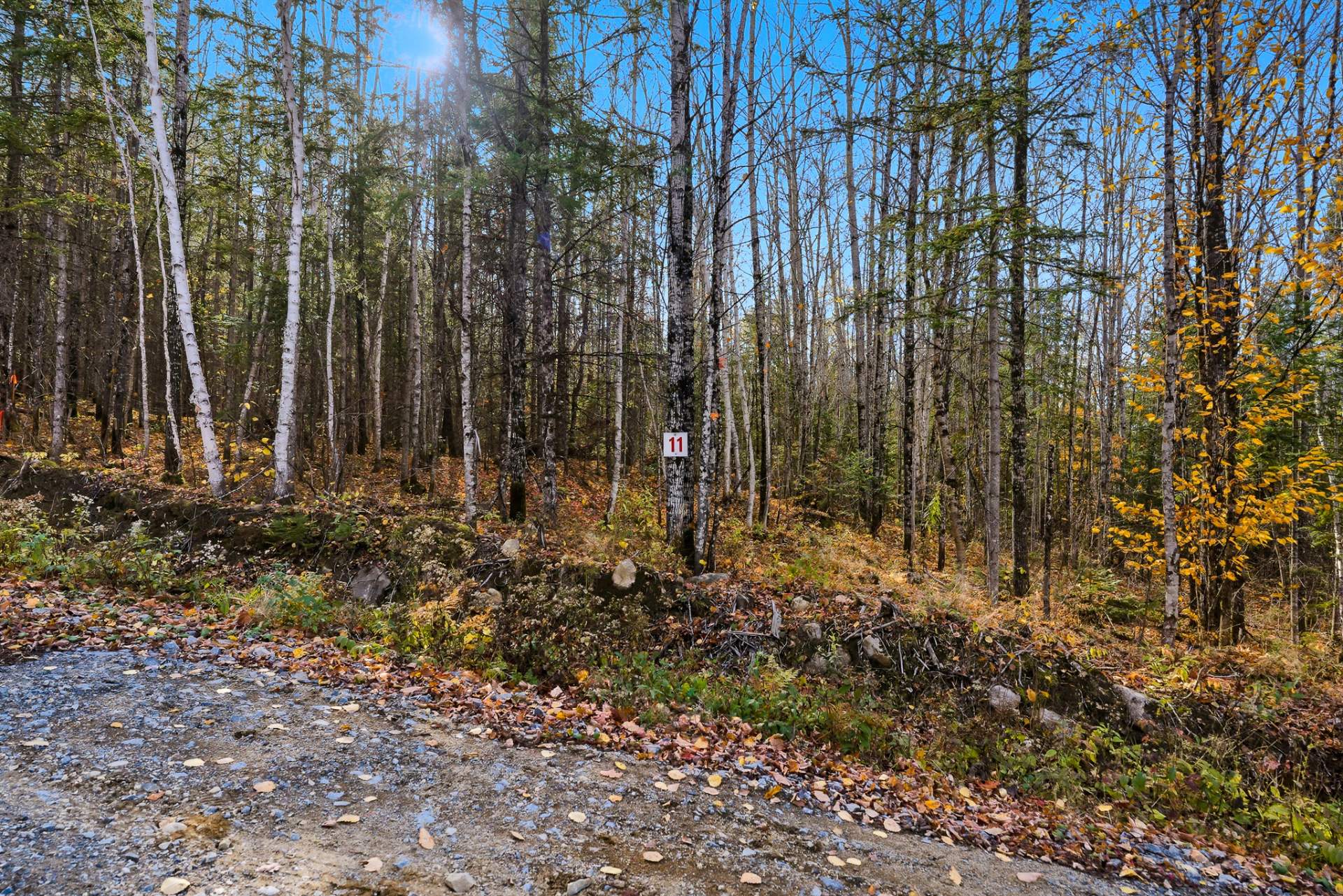 MLS: 13734030