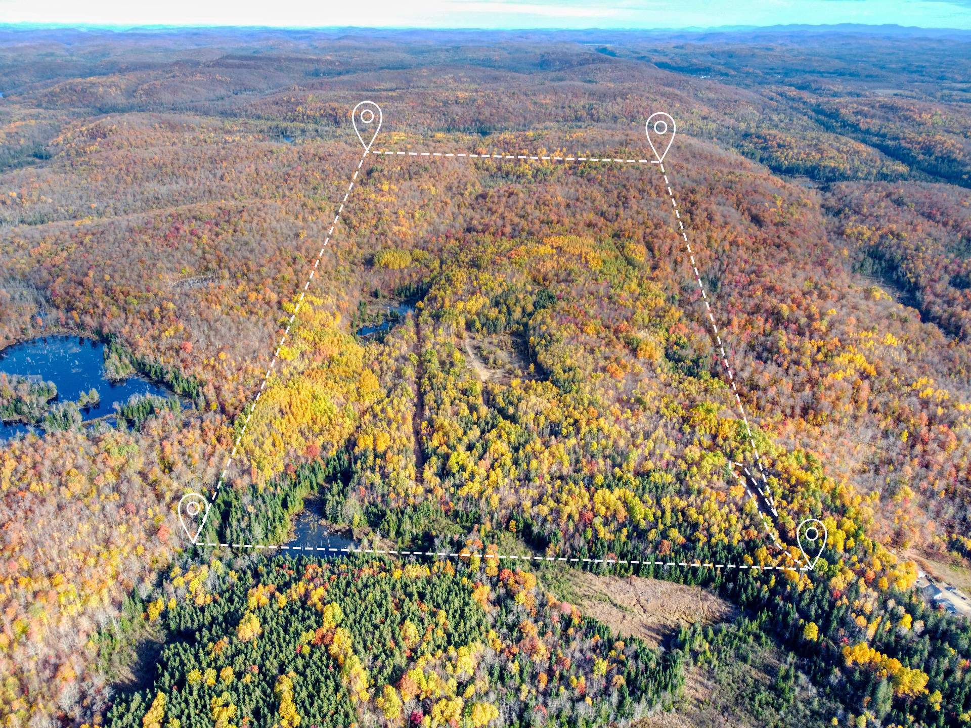 MLS: 23240941