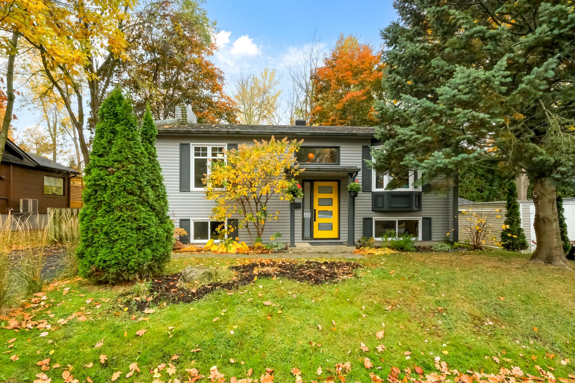 MLS: 19608257