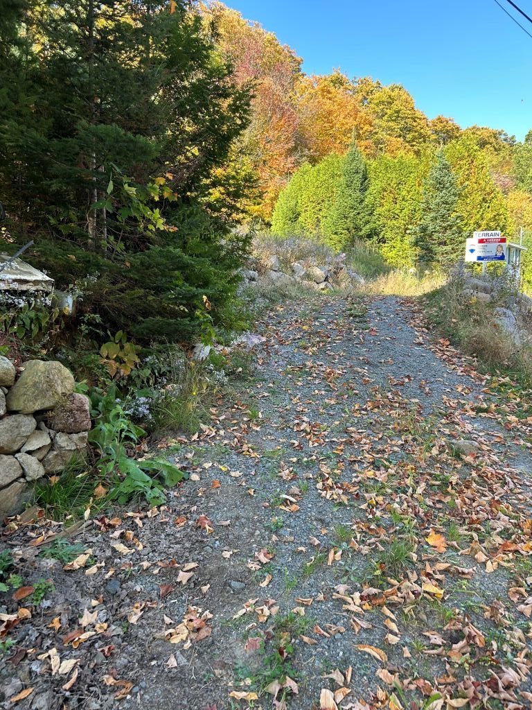 MLS: 15159073