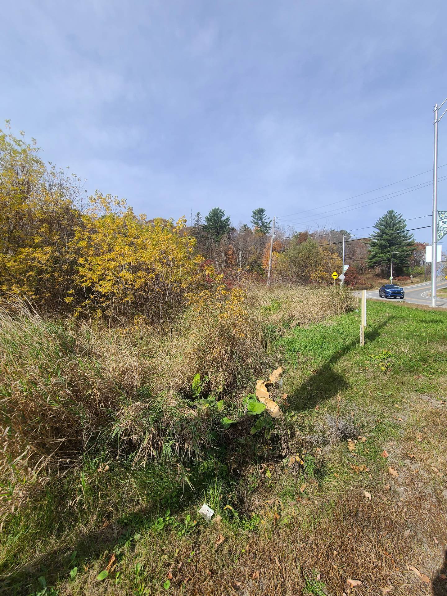 MLS: 12068817
