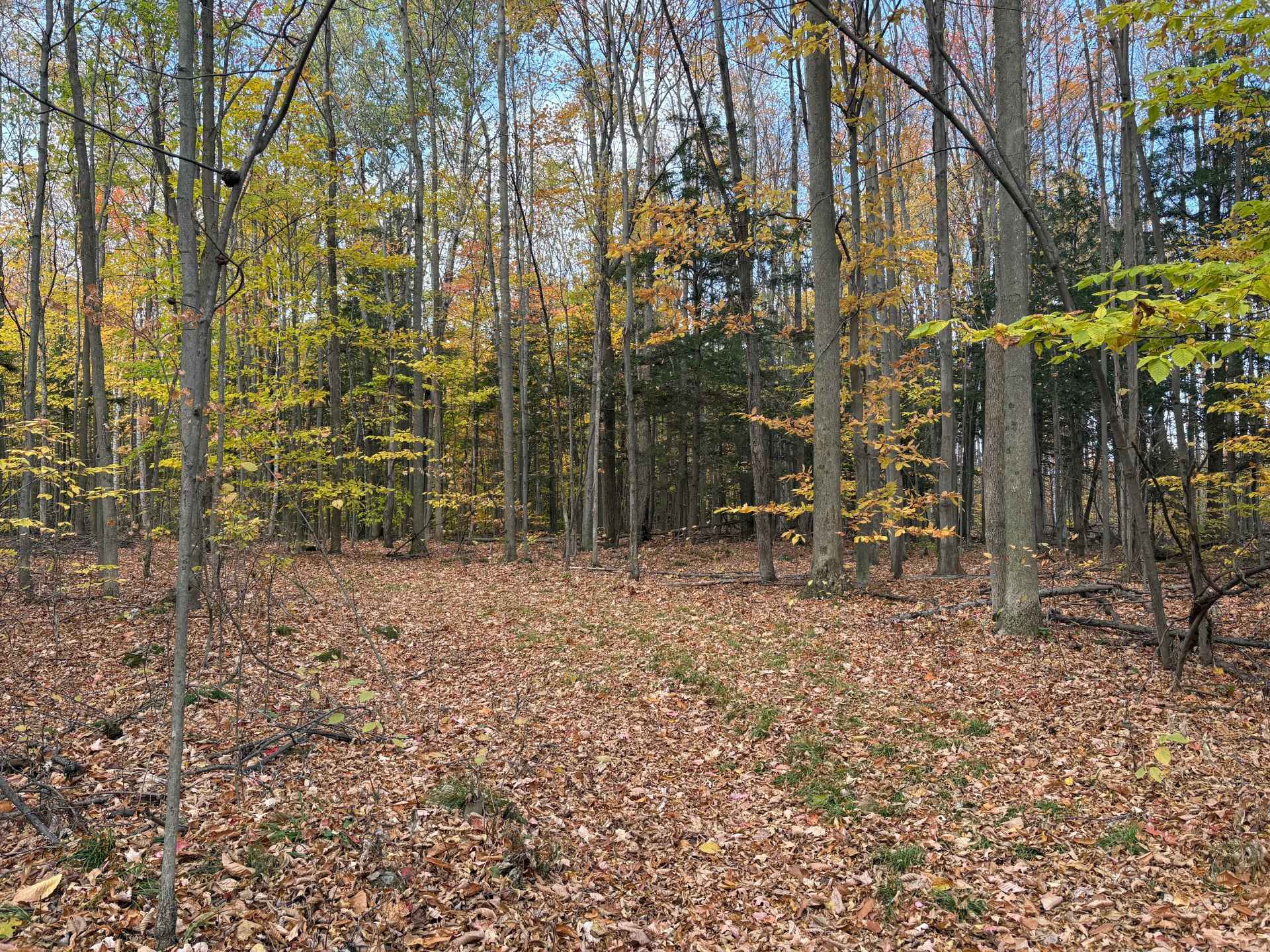 MLS: 12673887