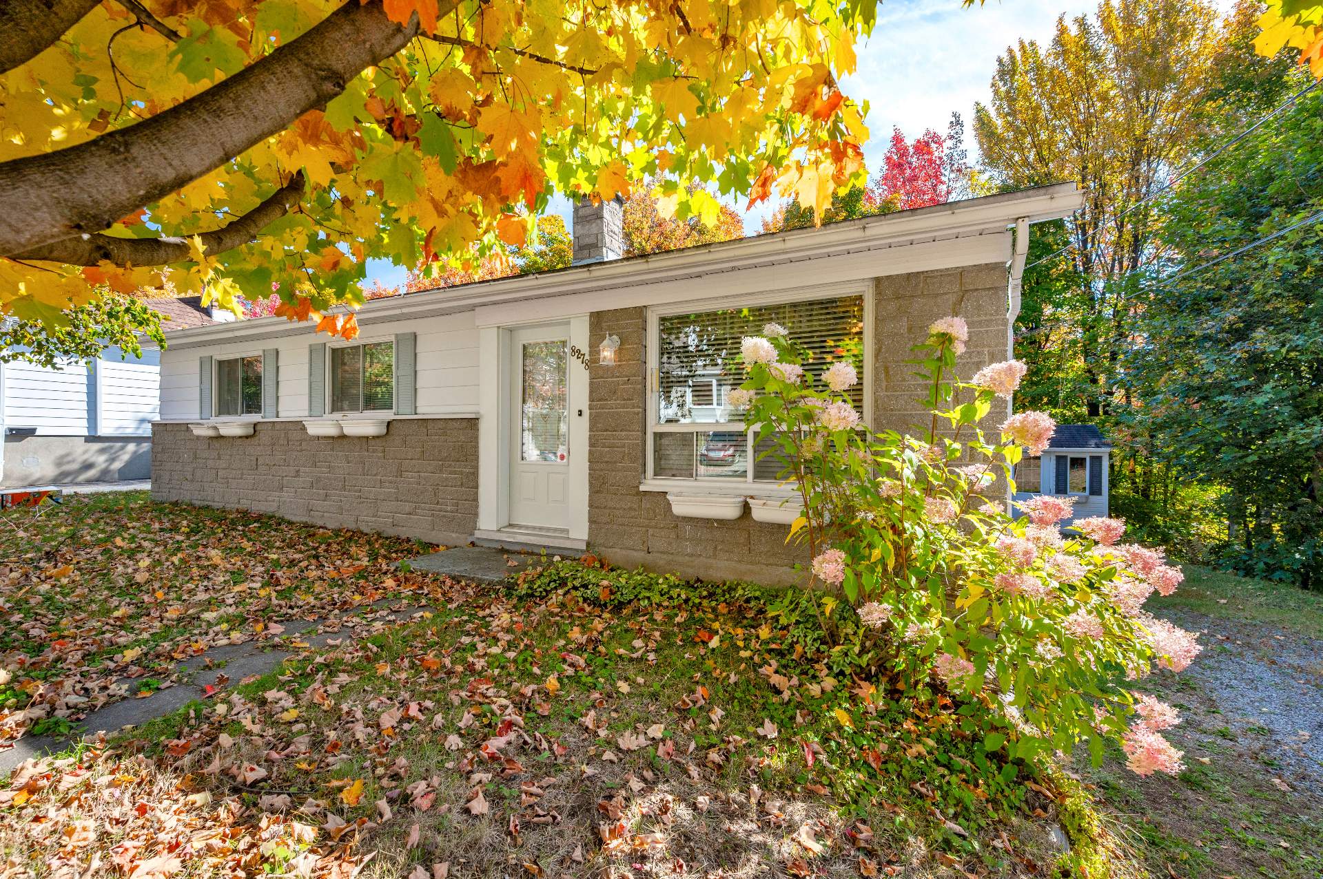 MLS: 17640430