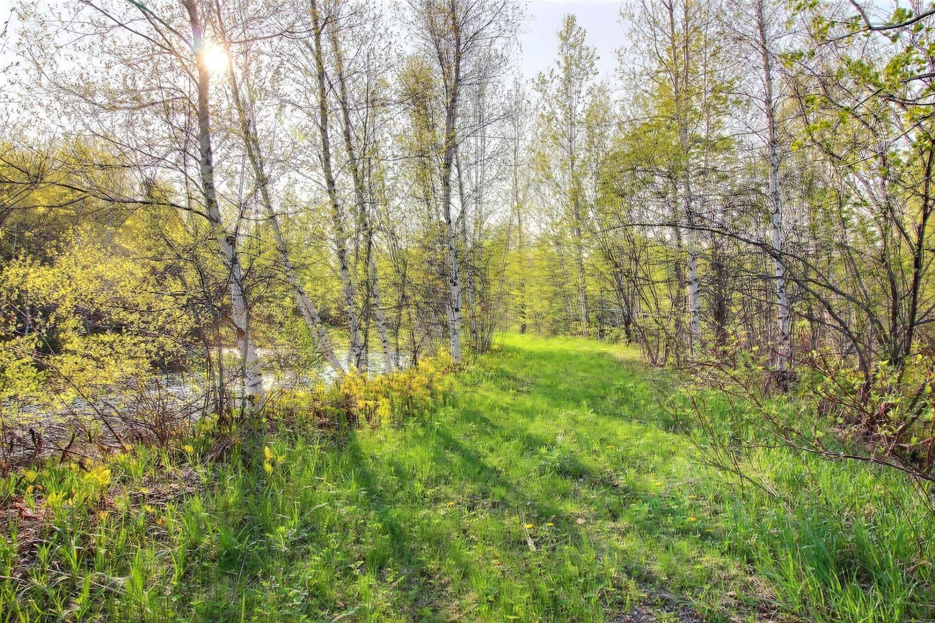MLS: 24206129