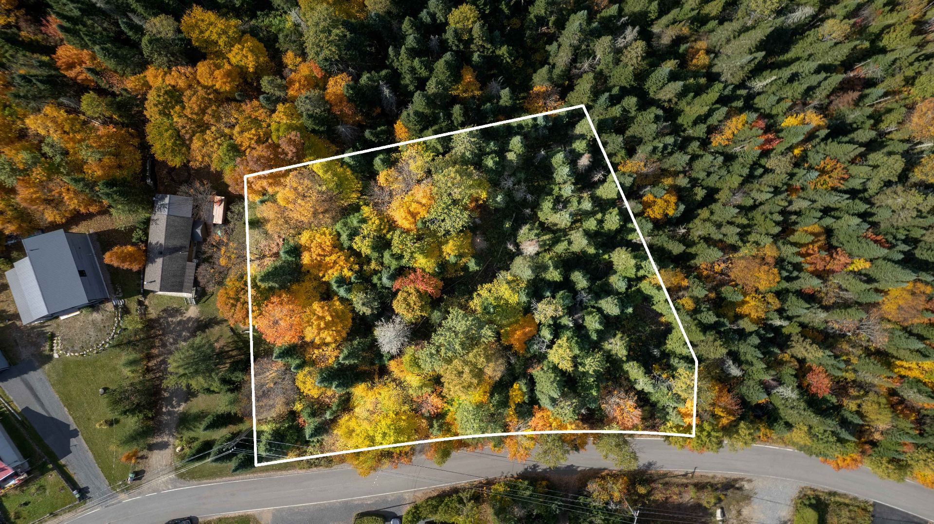 MLS: 17355798