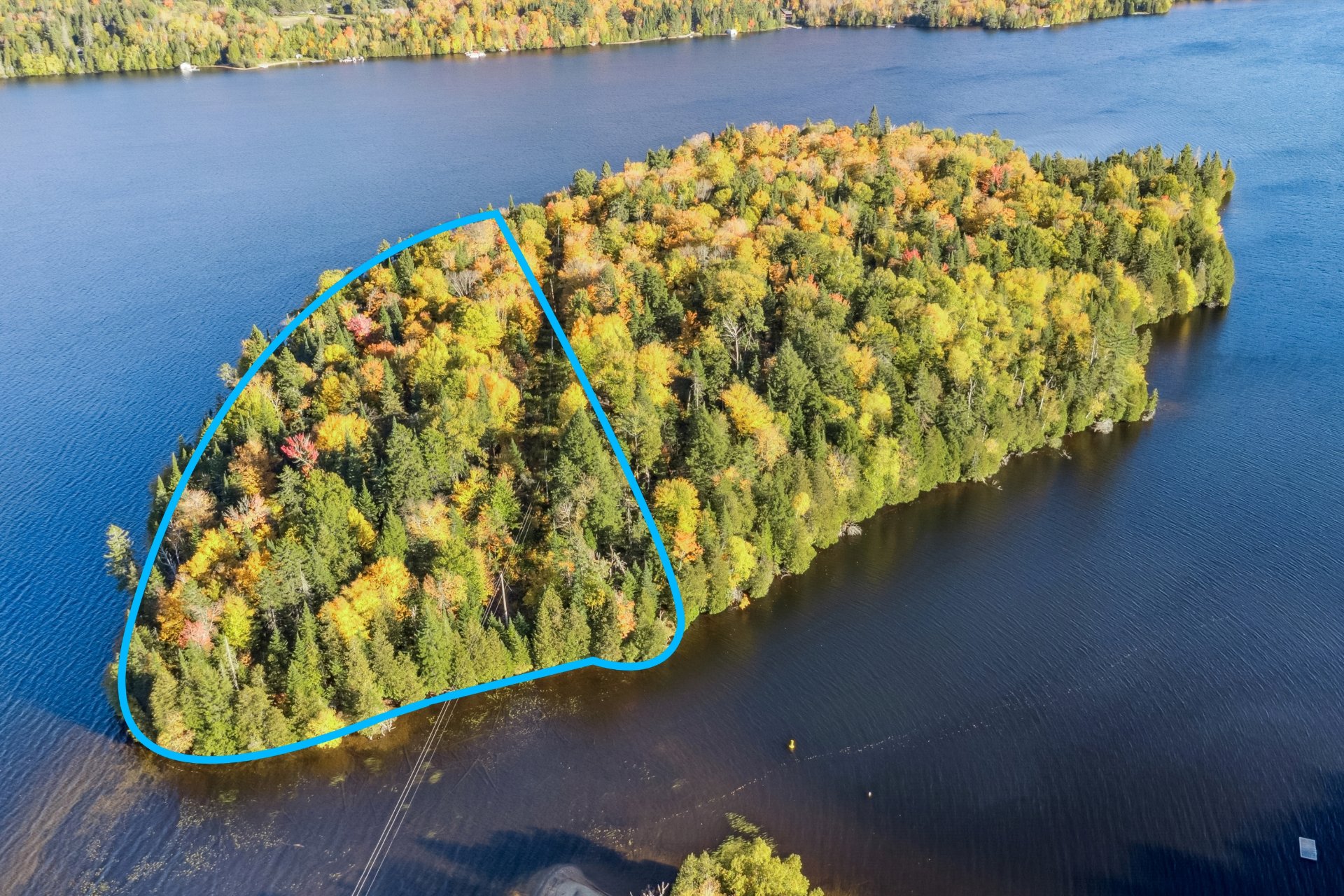 MLS: 11817930
