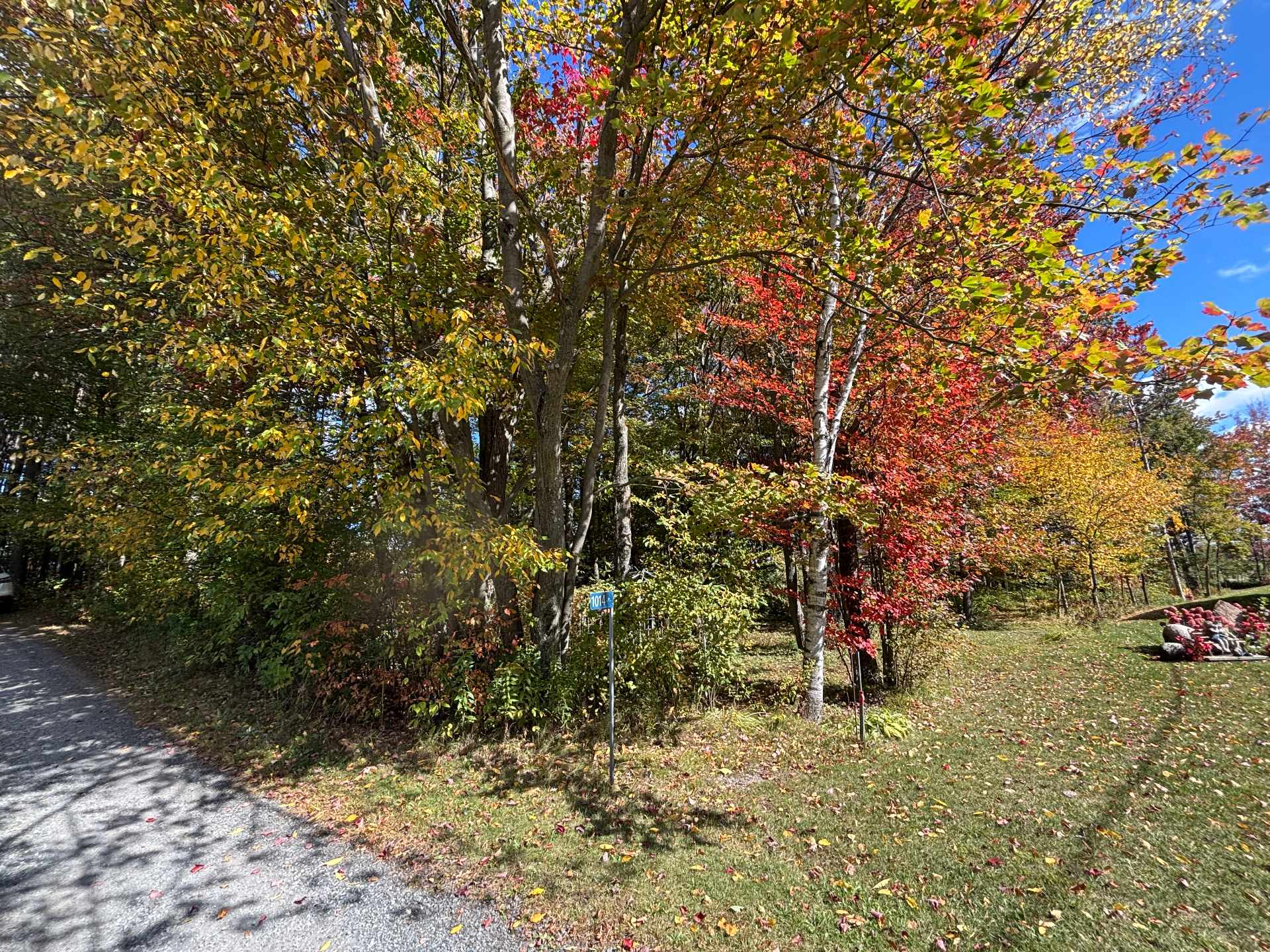 MLS: 17954596