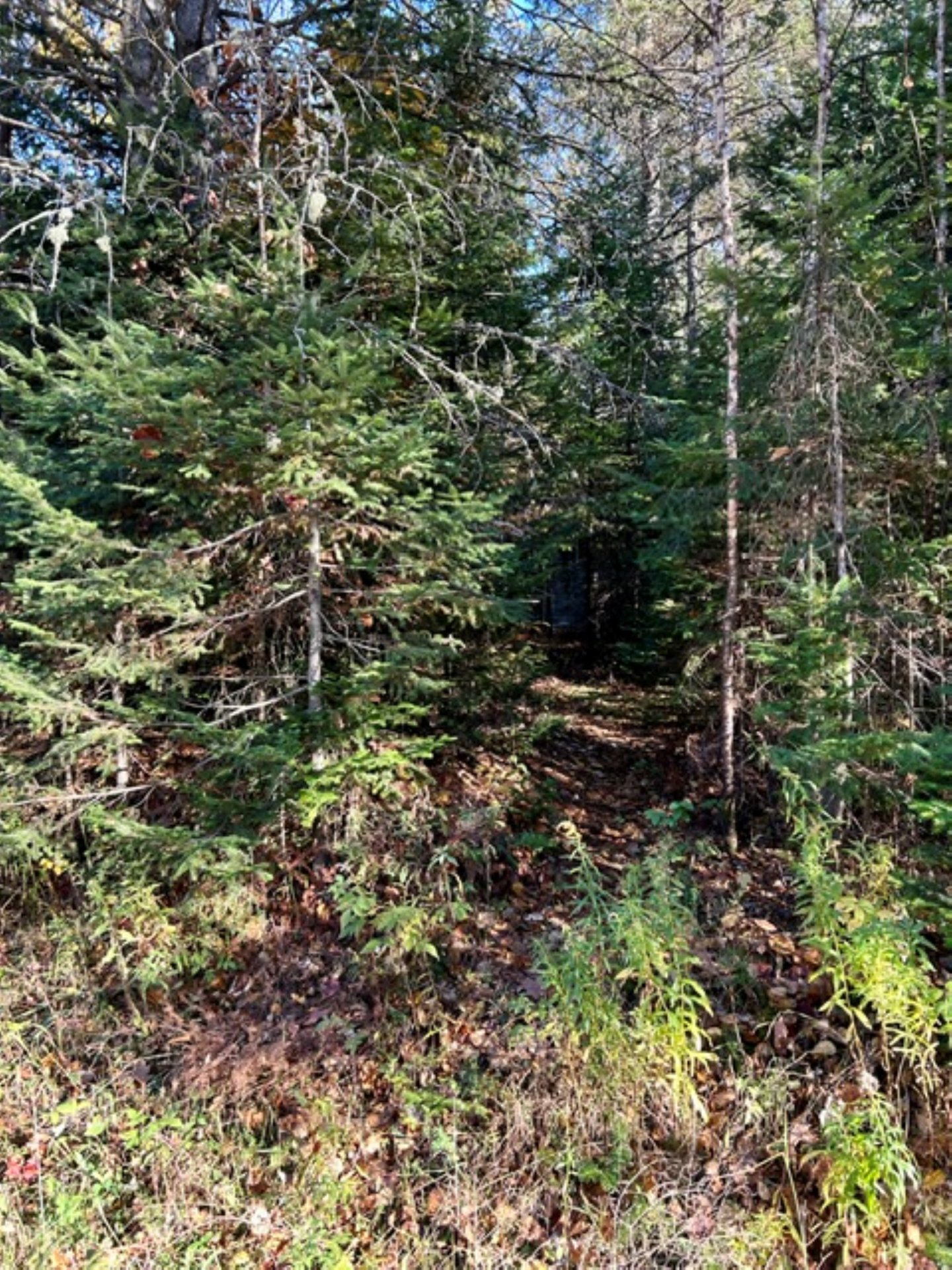 MLS: 14909261