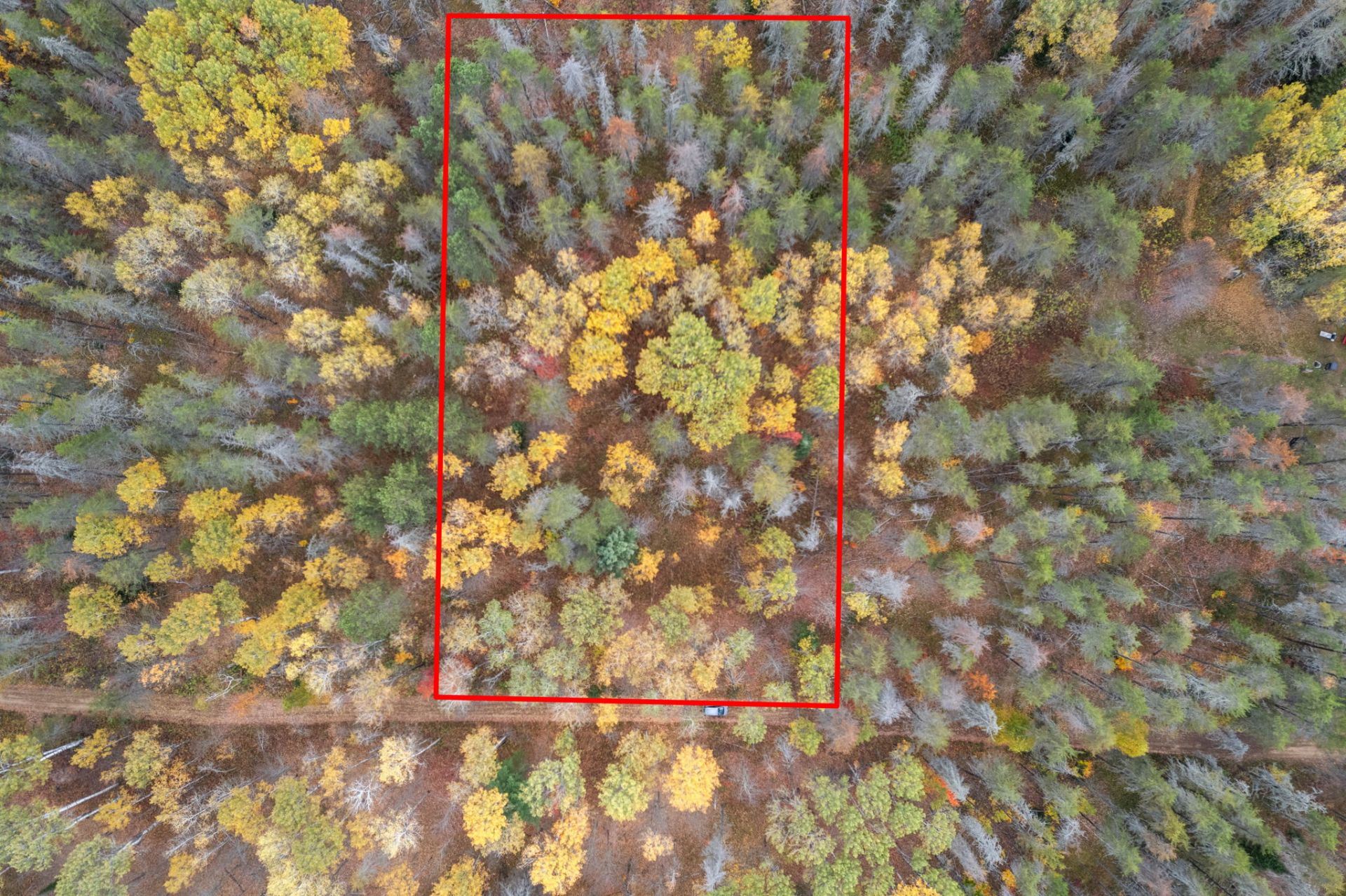 MLS: 13810544