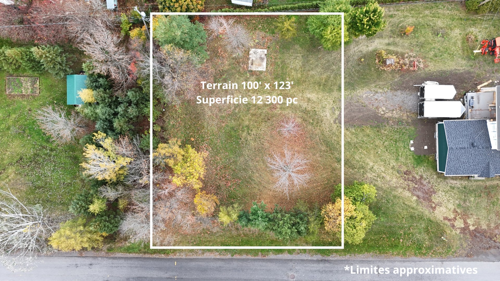 MLS: 19609924