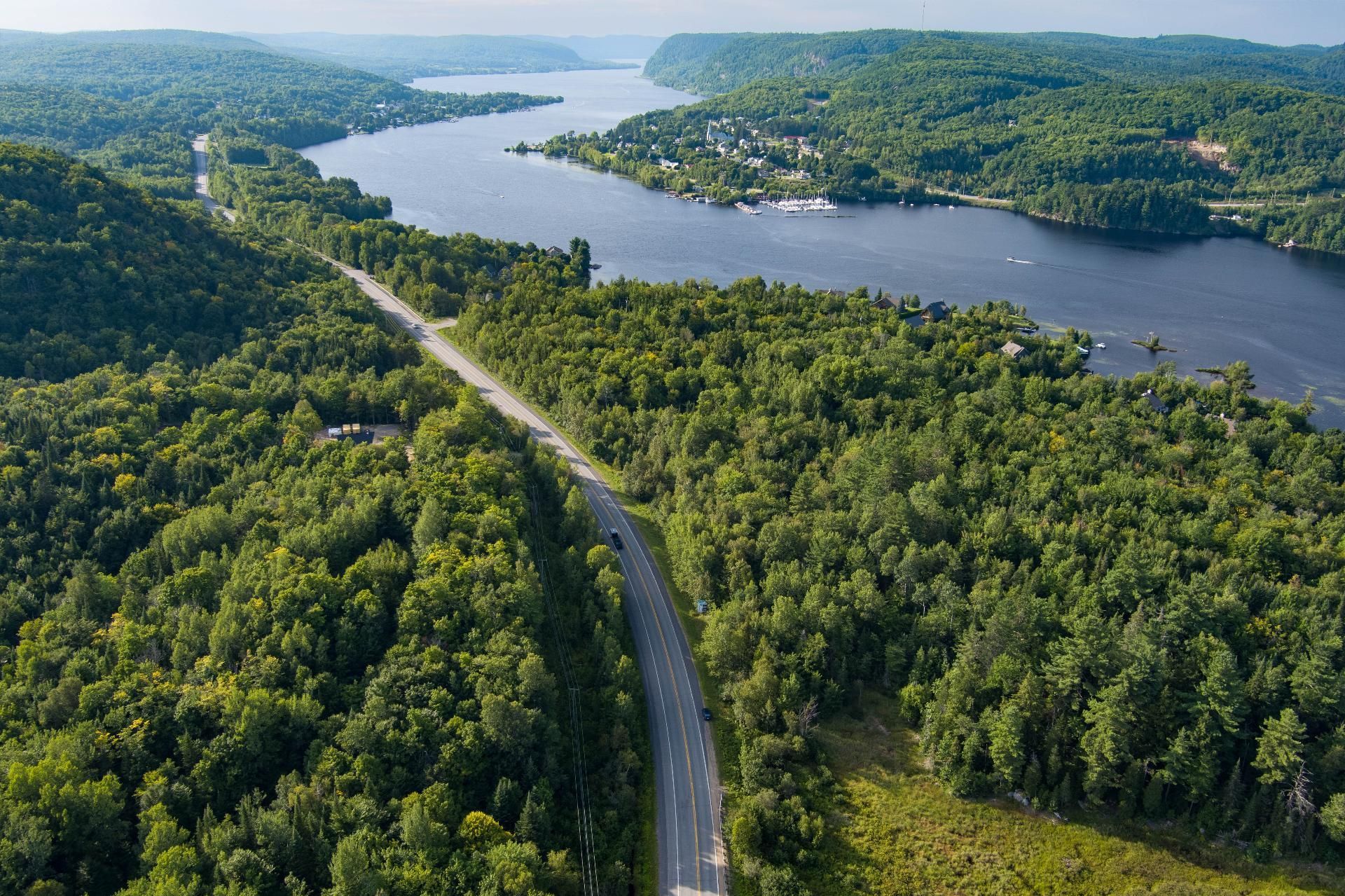 MLS: 14214017