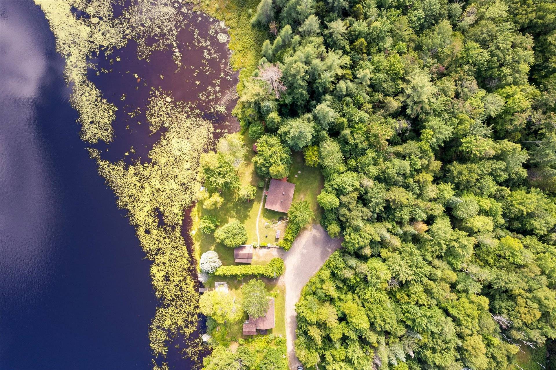 MLS: 25424679