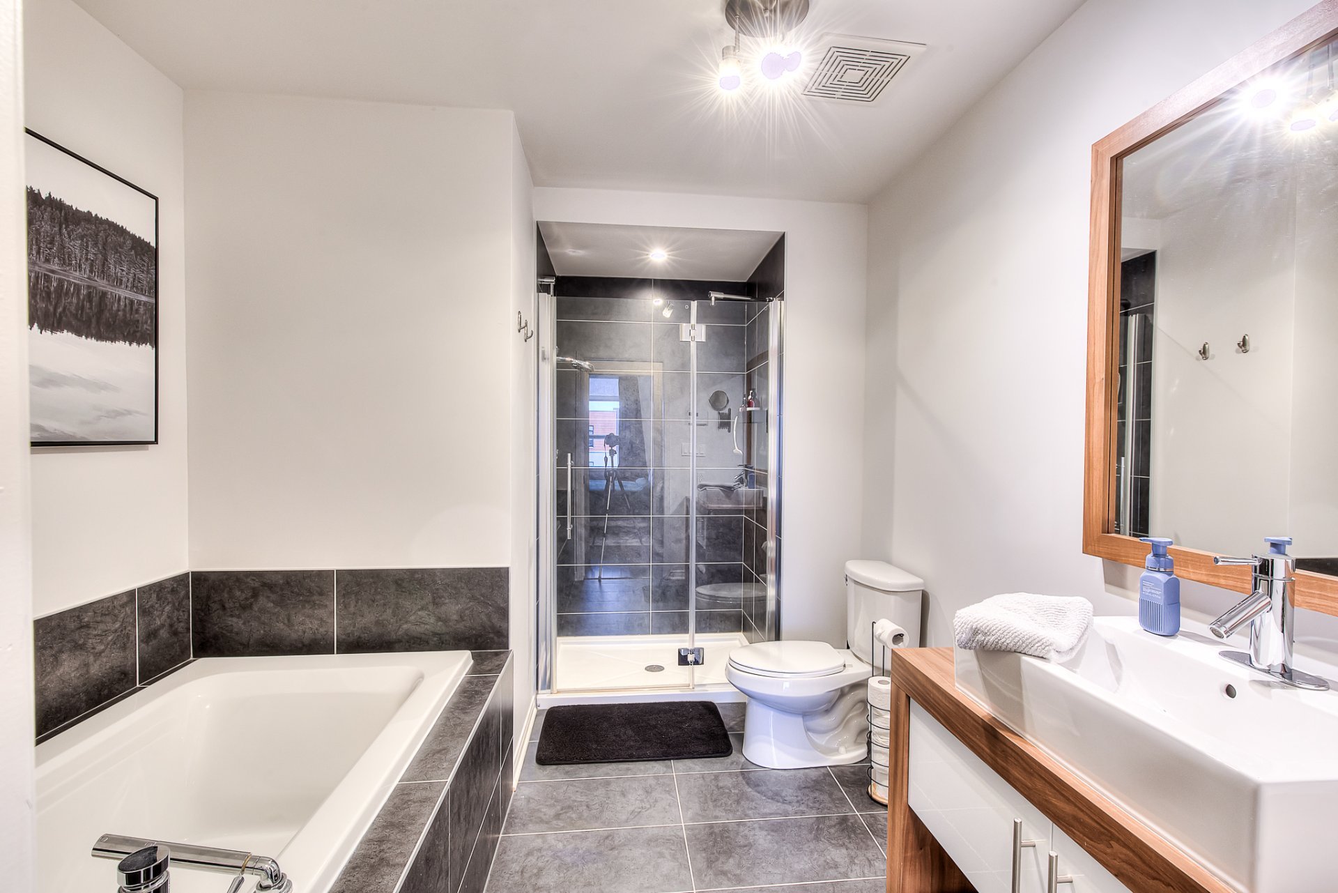 Appartement à vendre Vaudreuil-Dorion 10