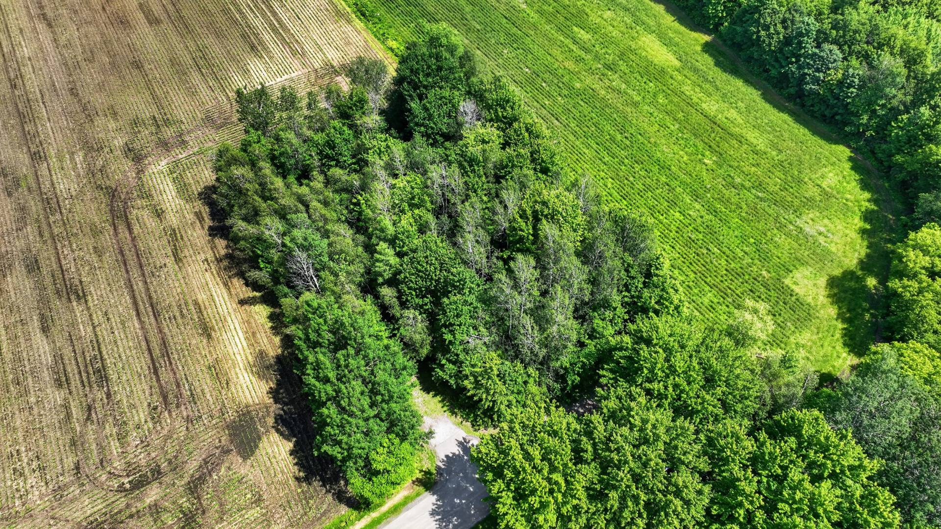 Terre/Terrain