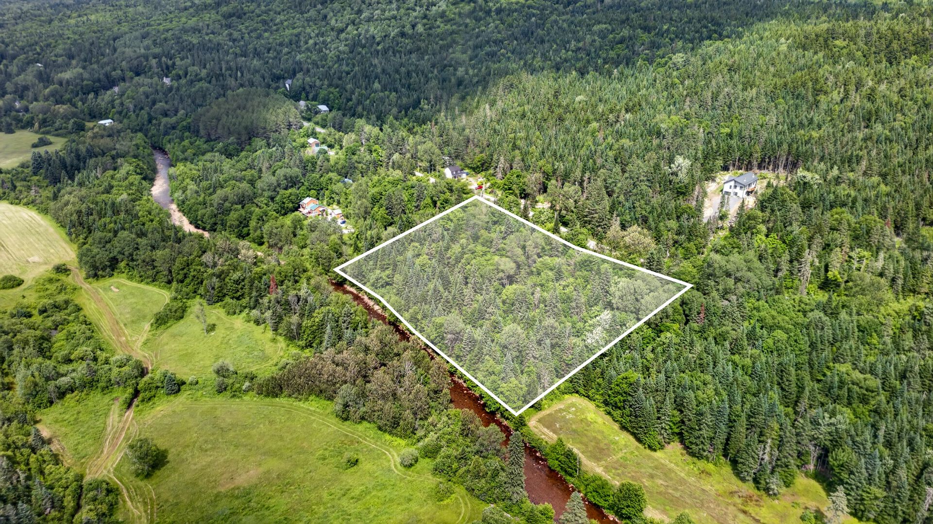 Terre/Terrain