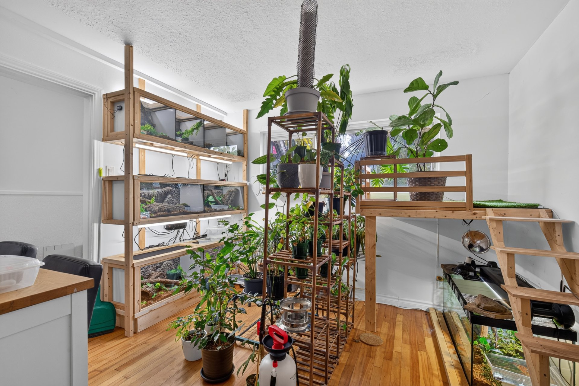 Intérieur