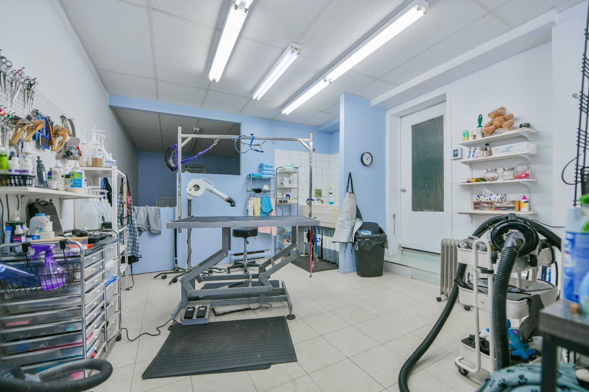 Commercial seulement