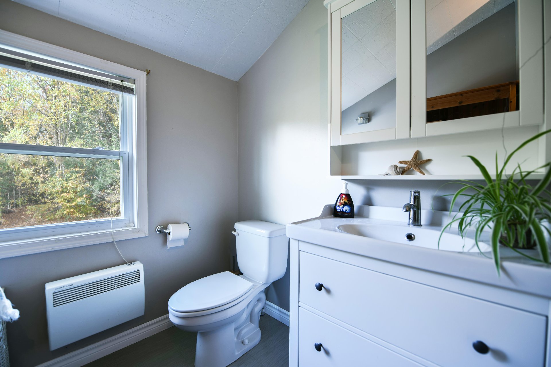Salle de bains