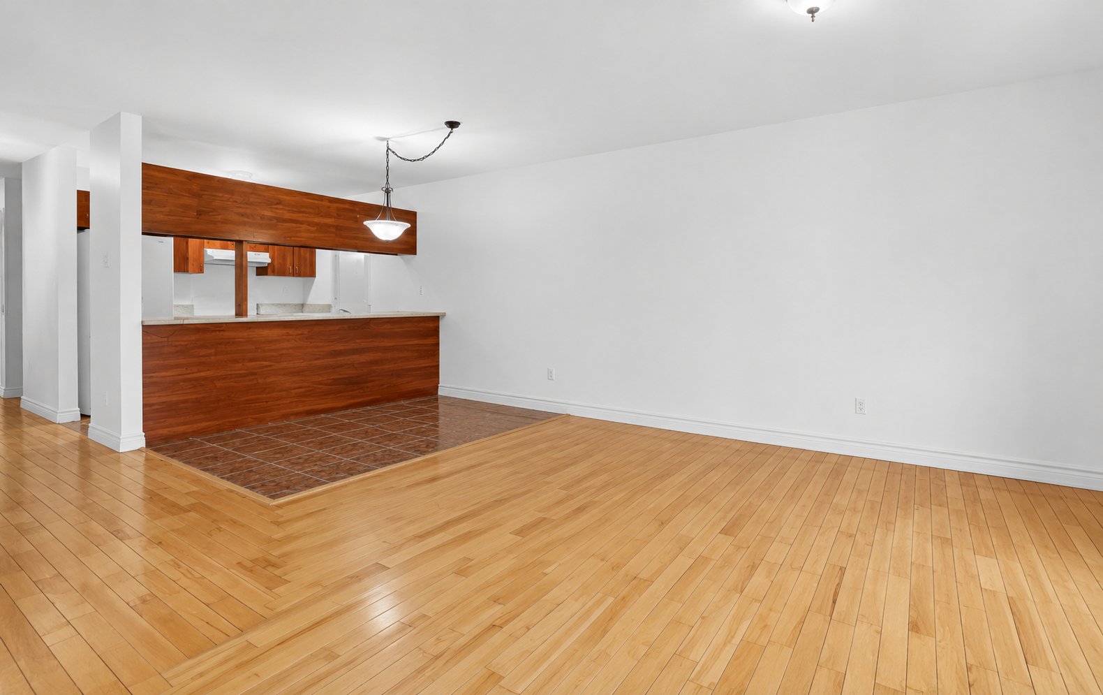 4224 Rue de Bellechasse — photo 3