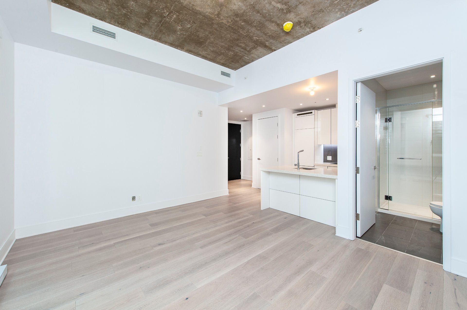 1188 Av. Union — photo 1