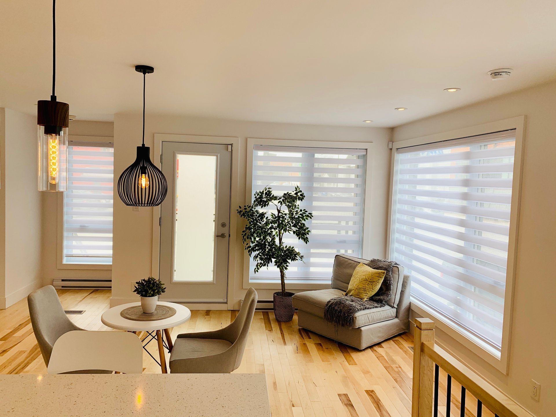 2484 Rue Marie-Anne E. — photo 3