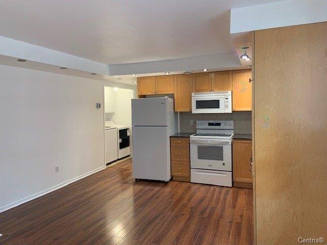 10061 Rue Jules-Crépeau — photo 3
